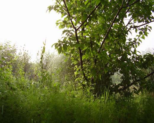 30058 (a): :1280x1024